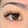 Sakura | Magnetic Lash