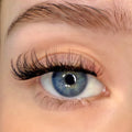 Close-up image of an eye with applied false eyelashes, showcasing a voluminous, gradual cat-eye style.
