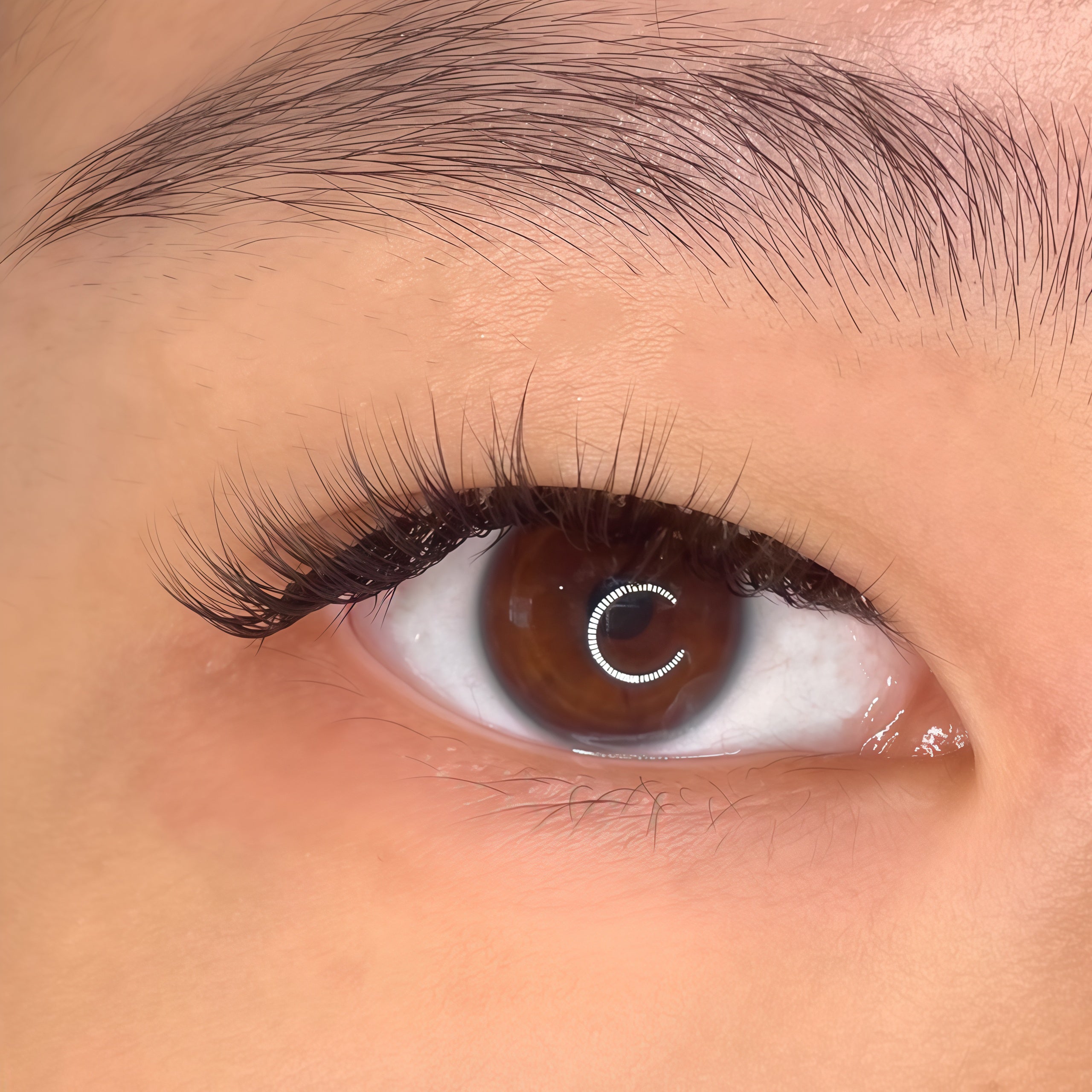 Close-up of an almond-shaped monolid with short, natural black cat-eye false eyelashes applied to the upper lash line.