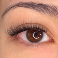 Close-up of an almond-shaped brown eye with short, natural black cat-eye false eyelashes applied to the upper lash line.