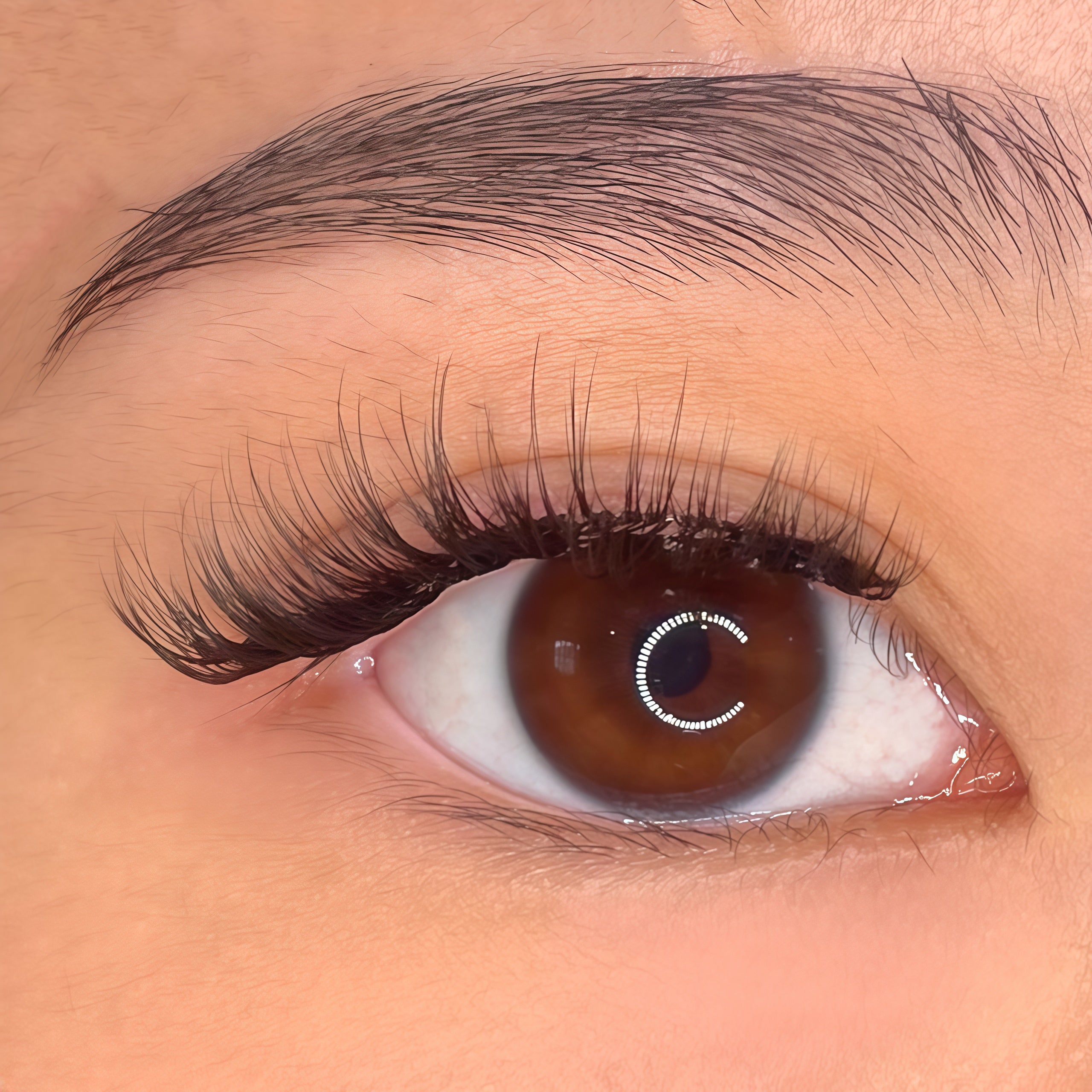 Close-up of an almond-shaped brown eye with short, natural black cat-eye false eyelashes applied to the upper lash line.