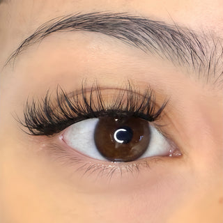 Doll Lashes