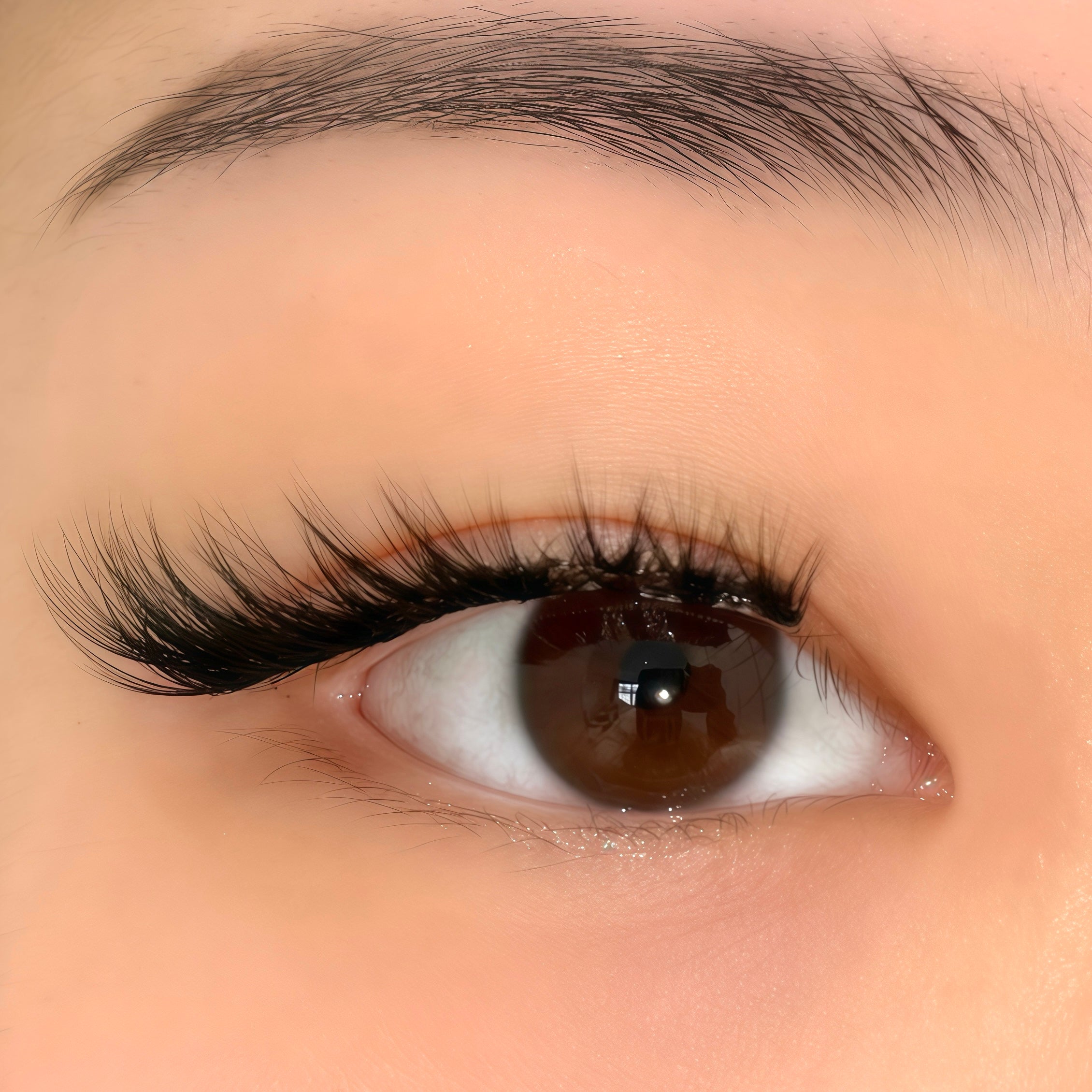 Close-up of an almond-shaped monolid with wispy, pointed cat-eye false eyelashes applied to the upper lash line