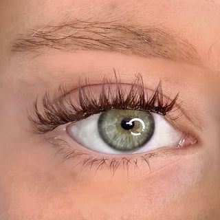 Brown Lashes