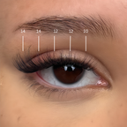 Full Wispy Set | Press On Lash
