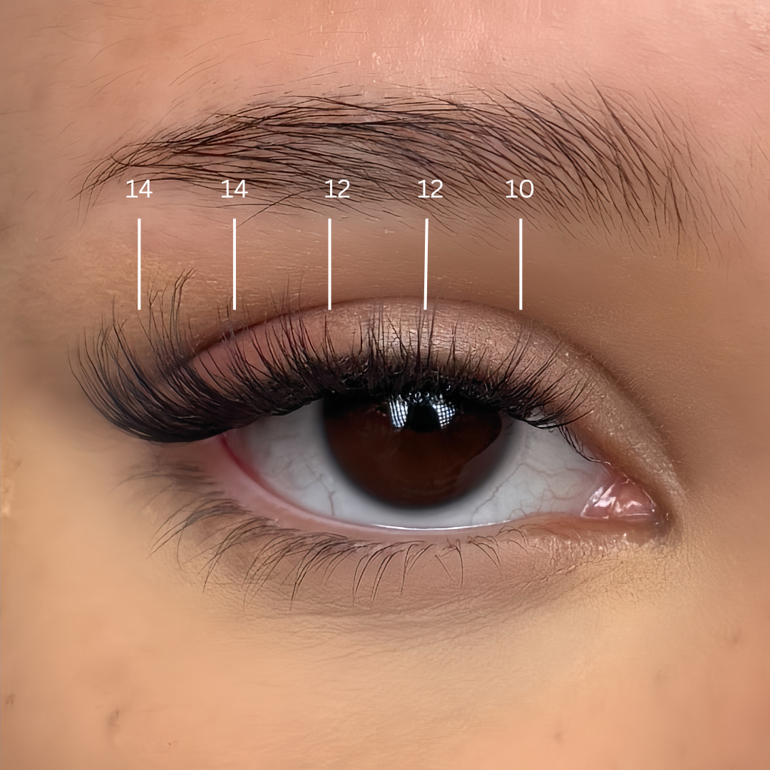 Full Wispy Set | Press On Lash