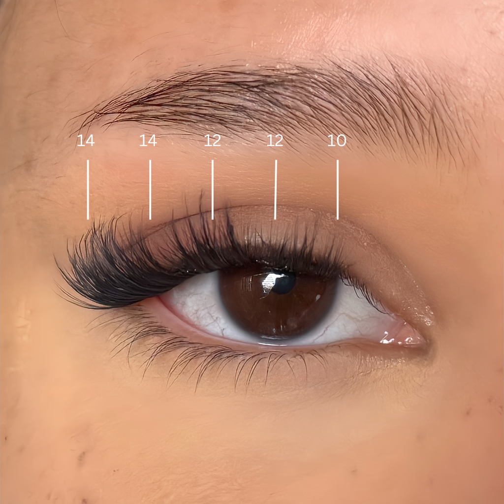 Medium Volume Glam Set  | Press On Lash
