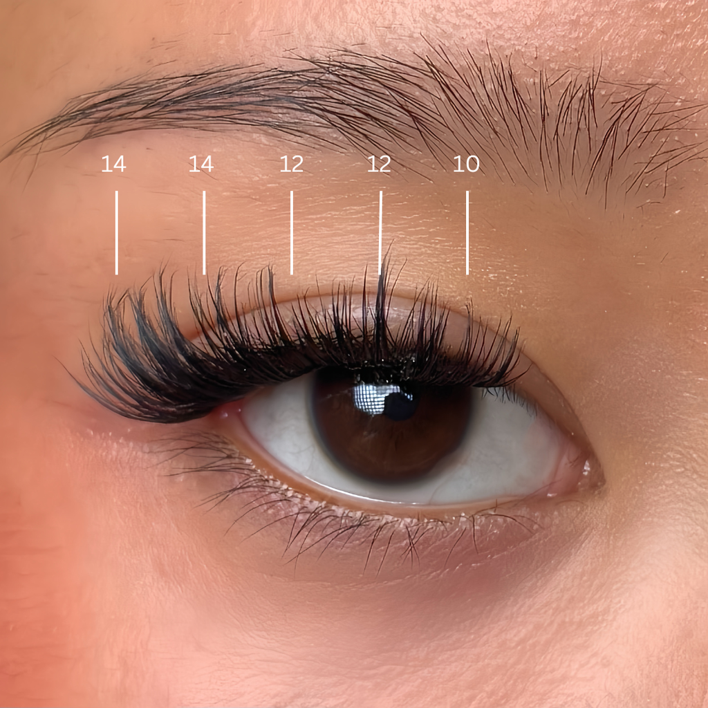 Medium Volume Glam Set  | Press On Lash