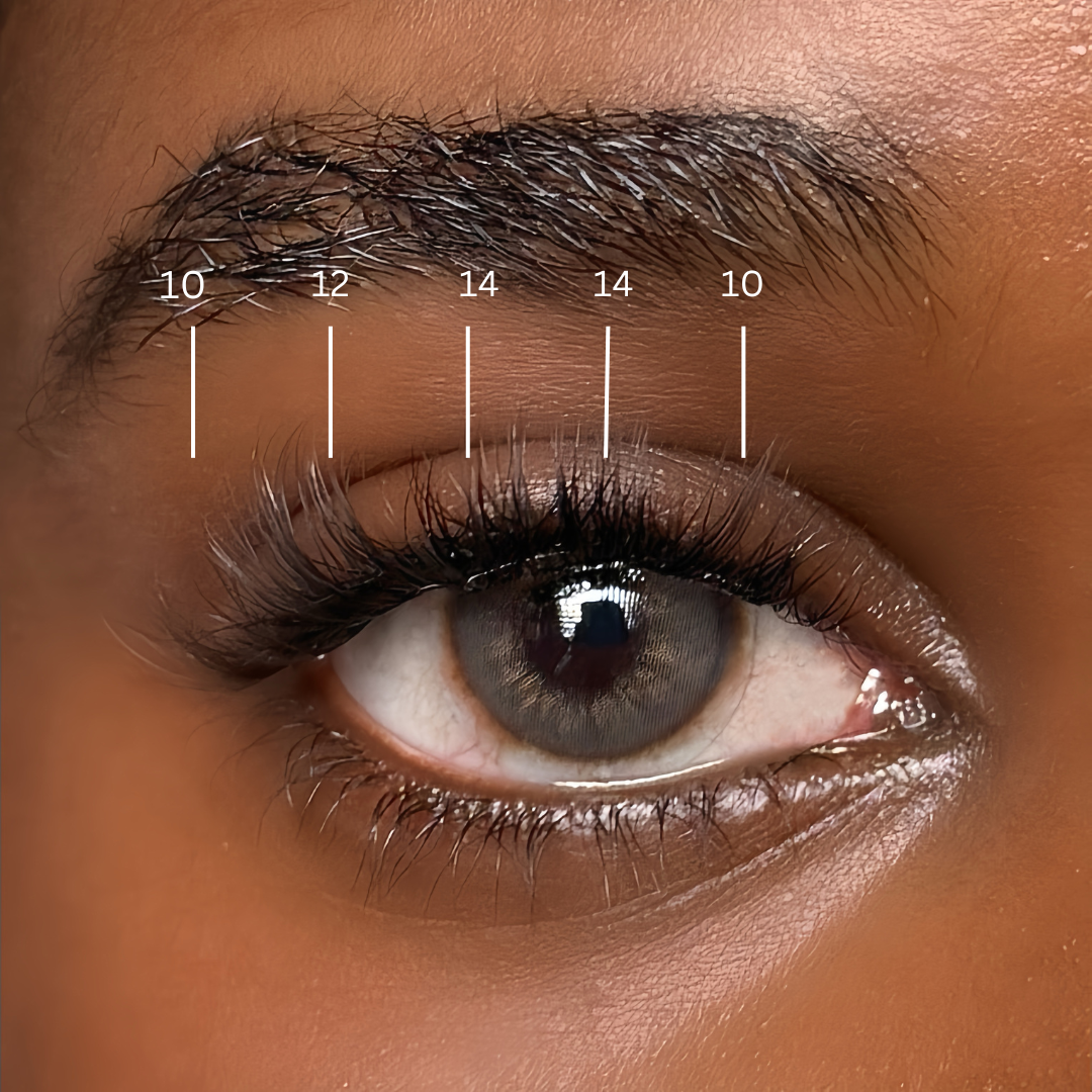 Natural Wispy Set  | Press On Lash