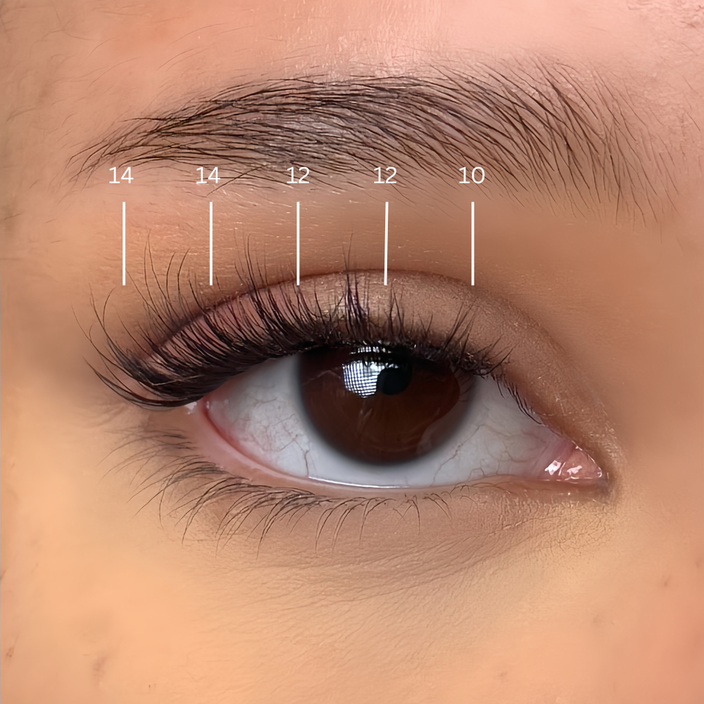 Soft Wispy Set | Press On Lash